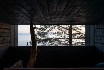 <b>Image credit: Teppo Lakanniemi</b>